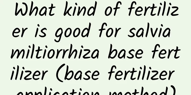 What kind of fertilizer is good for salvia miltiorrhiza base fertilizer (base fertilizer application method)