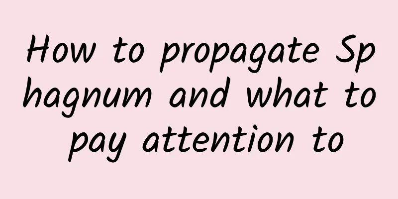 How to propagate Sphagnum and what to pay attention to