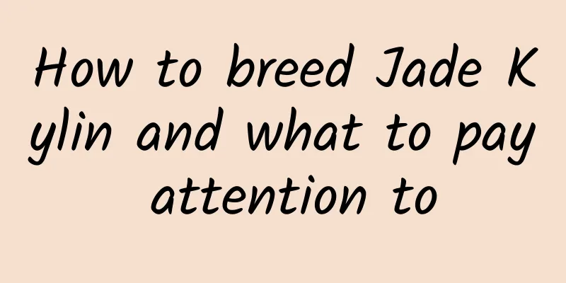 How to breed Jade Kylin and what to pay attention to