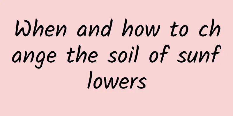 When and how to change the soil of sunflowers