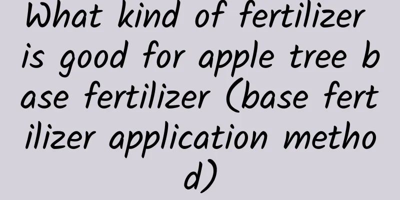 What kind of fertilizer is good for apple tree base fertilizer (base fertilizer application method)