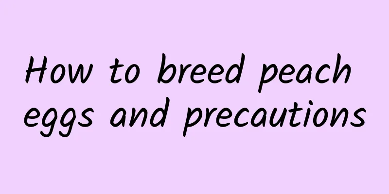 How to breed peach eggs and precautions