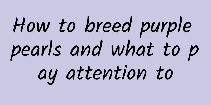 How to breed purple pearls and what to pay attention to