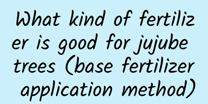What kind of fertilizer is good for jujube trees (base fertilizer application method)
