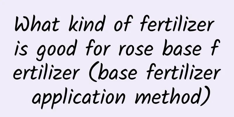 What kind of fertilizer is good for rose base fertilizer (base fertilizer application method)