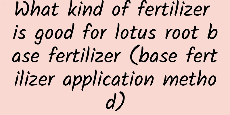 What kind of fertilizer is good for lotus root base fertilizer (base fertilizer application method)