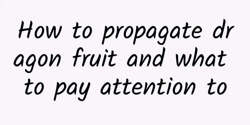 How to propagate dragon fruit and what to pay attention to