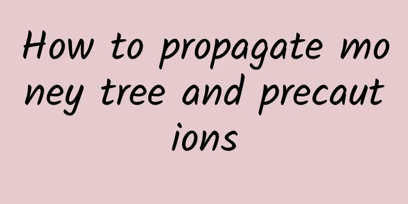 How to propagate money tree and precautions
