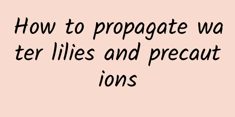 How to propagate water lilies and precautions