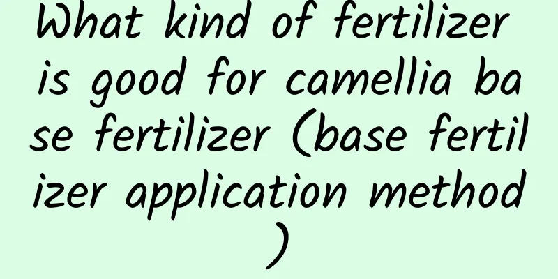 What kind of fertilizer is good for camellia base fertilizer (base fertilizer application method)