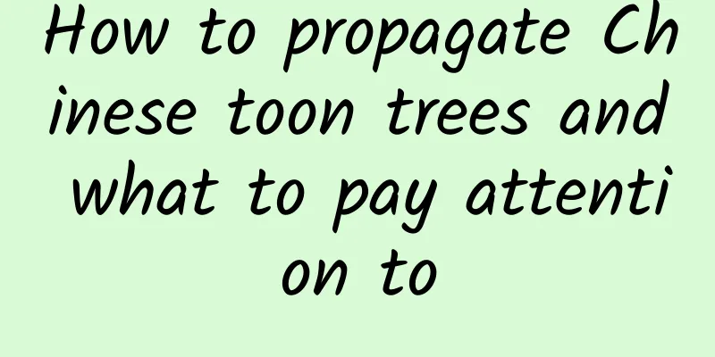 How to propagate Chinese toon trees and what to pay attention to