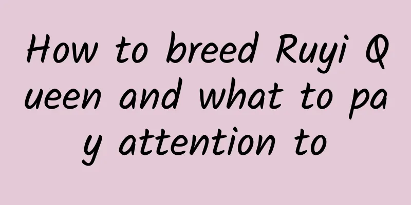 How to breed Ruyi Queen and what to pay attention to