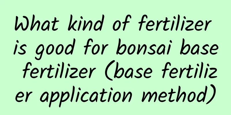 What kind of fertilizer is good for bonsai base fertilizer (base fertilizer application method)