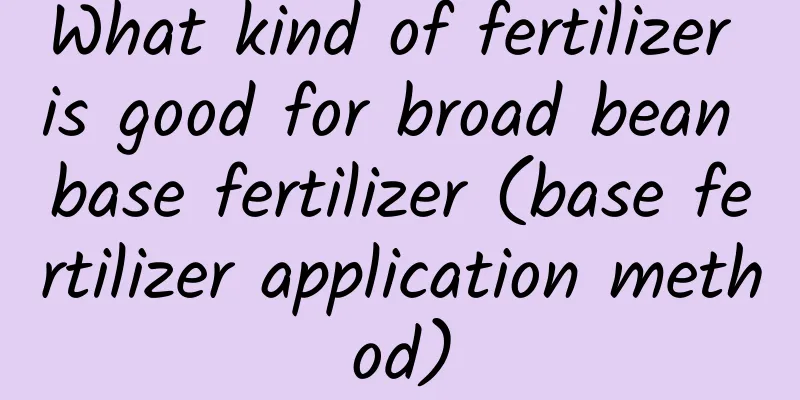 What kind of fertilizer is good for broad bean base fertilizer (base fertilizer application method)