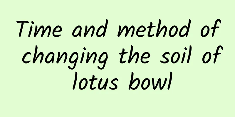 Time and method of changing the soil of lotus bowl