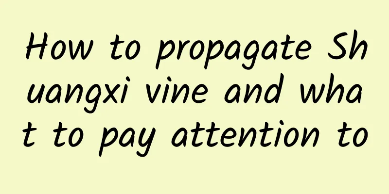 How to propagate Shuangxi vine and what to pay attention to