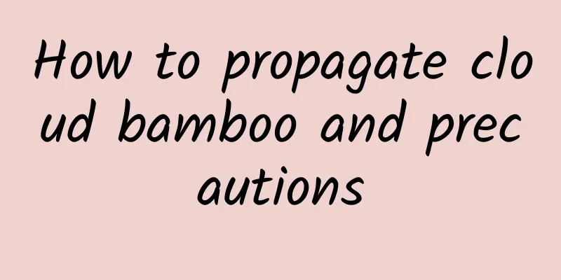 How to propagate cloud bamboo and precautions