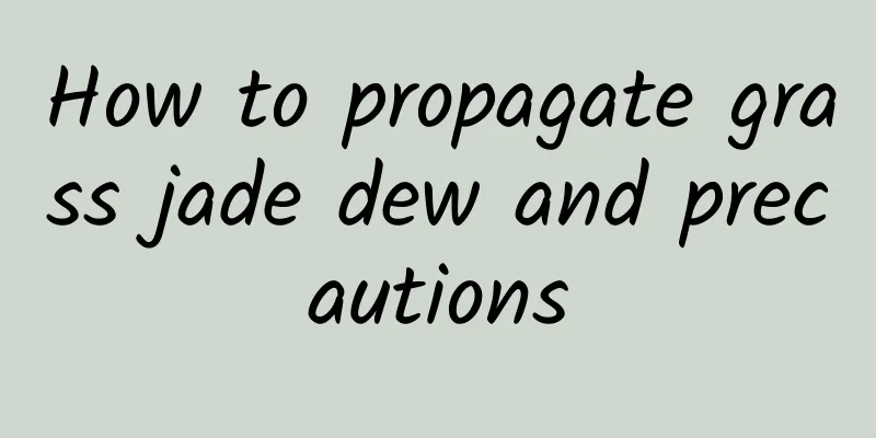 How to propagate grass jade dew and precautions