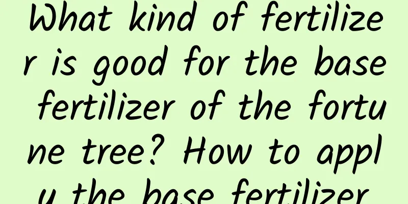 What kind of fertilizer is good for the base fertilizer of the fortune tree? How to apply the base fertilizer