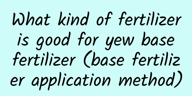 What kind of fertilizer is good for yew base fertilizer (base fertilizer application method)