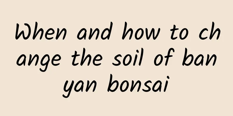 When and how to change the soil of banyan bonsai