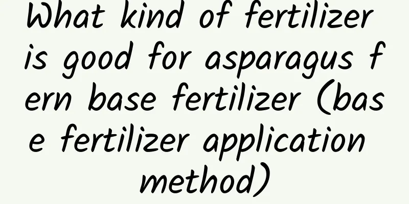 What kind of fertilizer is good for asparagus fern base fertilizer (base fertilizer application method)