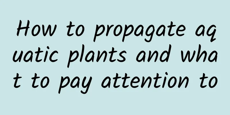 How to propagate aquatic plants and what to pay attention to