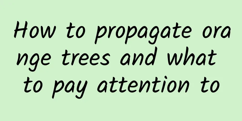 How to propagate orange trees and what to pay attention to
