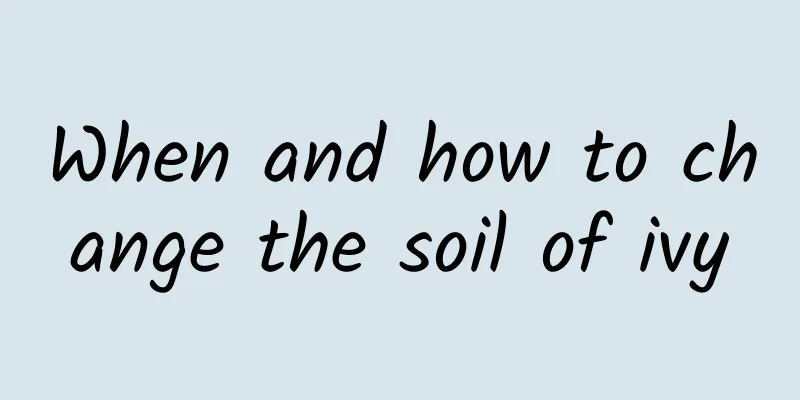 When and how to change the soil of ivy