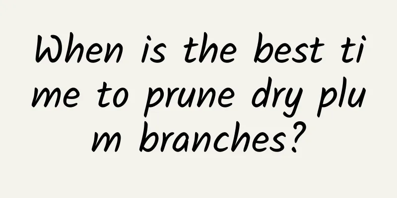 When is the best time to prune dry plum branches?