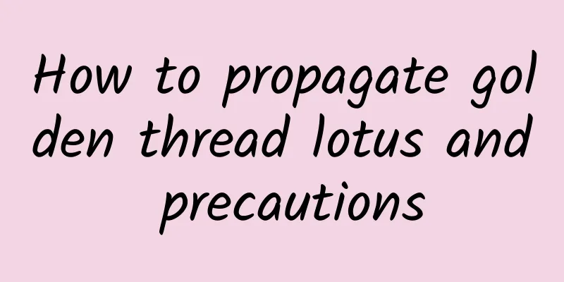 How to propagate golden thread lotus and precautions