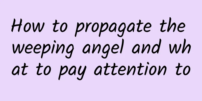 How to propagate the weeping angel and what to pay attention to