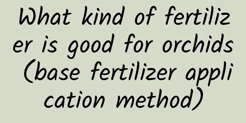 What kind of fertilizer is good for orchids (base fertilizer application method)