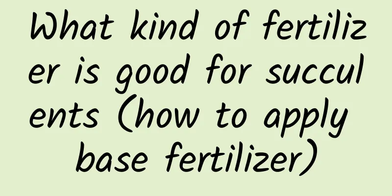 What kind of fertilizer is good for succulents (how to apply base fertilizer)