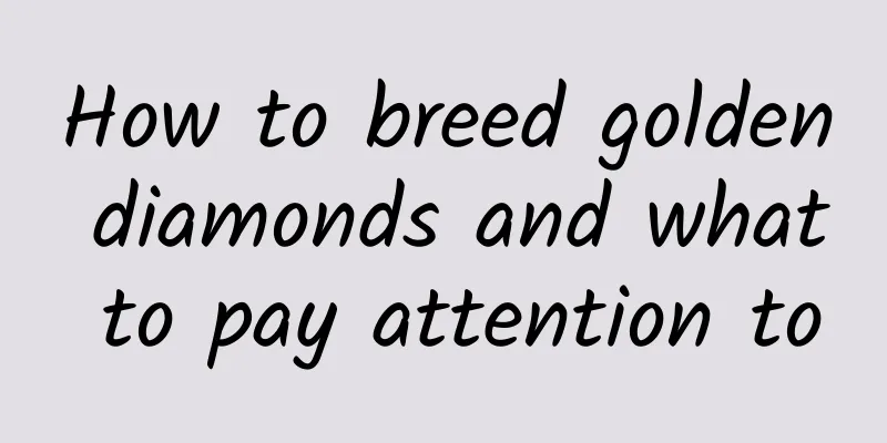 How to breed golden diamonds and what to pay attention to