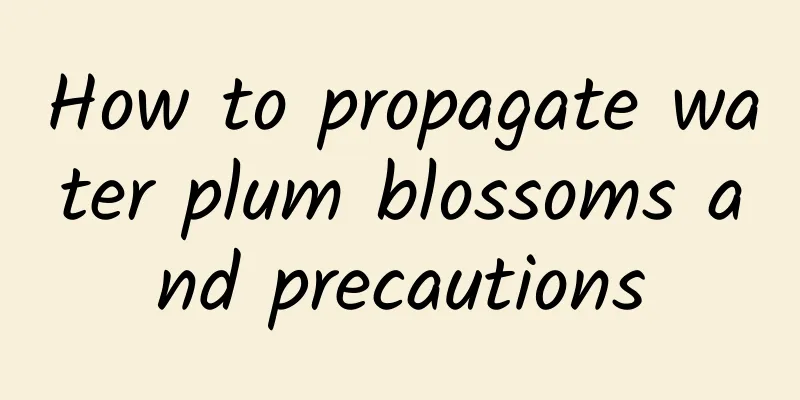 How to propagate water plum blossoms and precautions