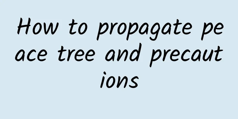 How to propagate peace tree and precautions
