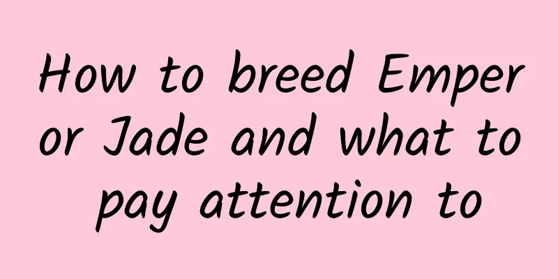 How to breed Emperor Jade and what to pay attention to