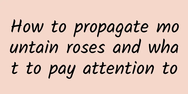 How to propagate mountain roses and what to pay attention to