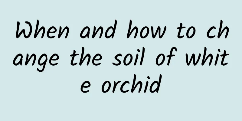 When and how to change the soil of white orchid