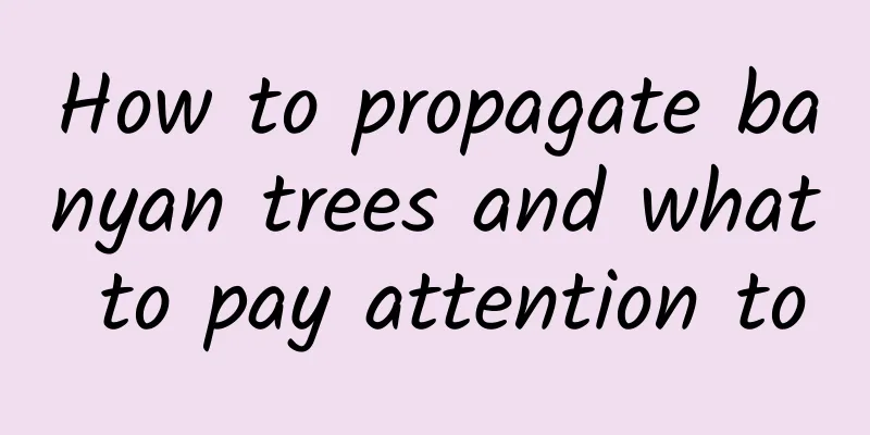How to propagate banyan trees and what to pay attention to