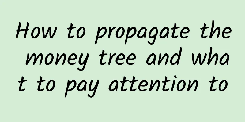 How to propagate the money tree and what to pay attention to
