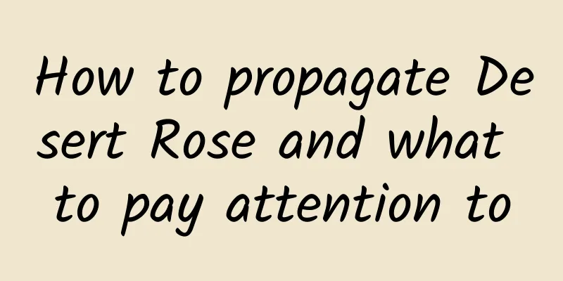 How to propagate Desert Rose and what to pay attention to