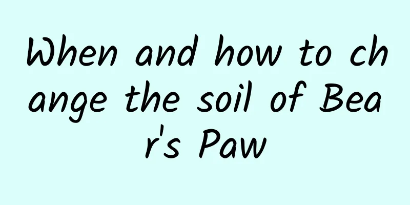 When and how to change the soil of Bear's Paw