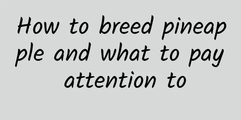 How to breed pineapple and what to pay attention to