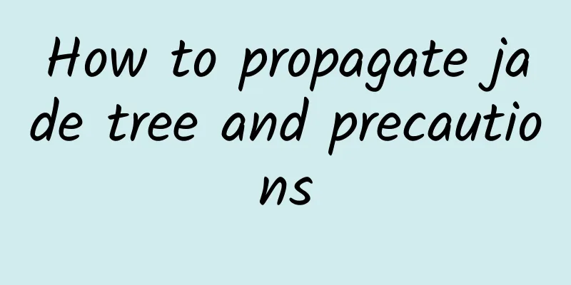 How to propagate jade tree and precautions