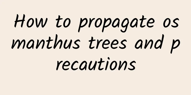 How to propagate osmanthus trees and precautions