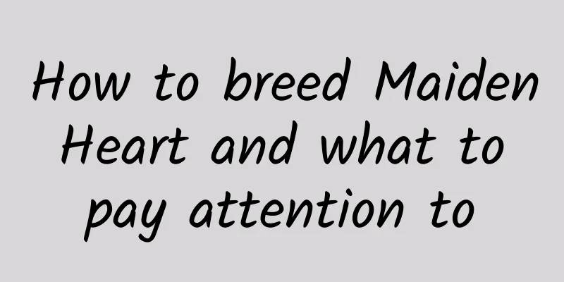 How to breed Maiden Heart and what to pay attention to