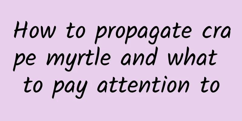 How to propagate crape myrtle and what to pay attention to