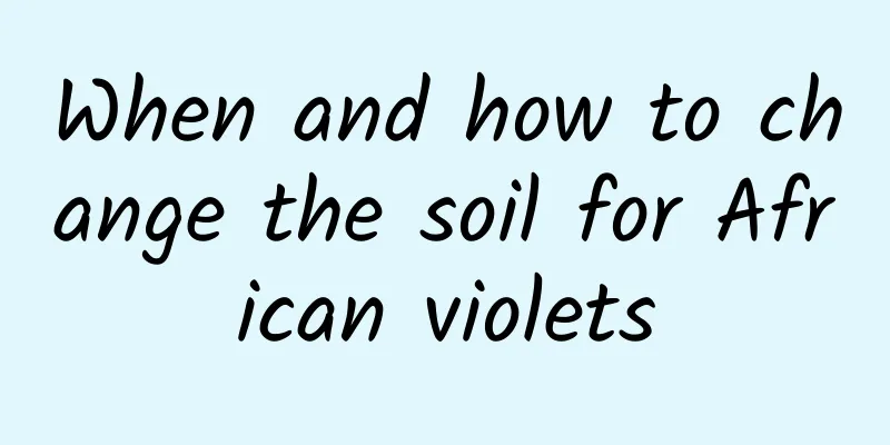When and how to change the soil for African violets